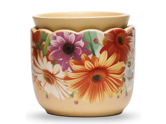 Daisy Daydream Simmer Pot